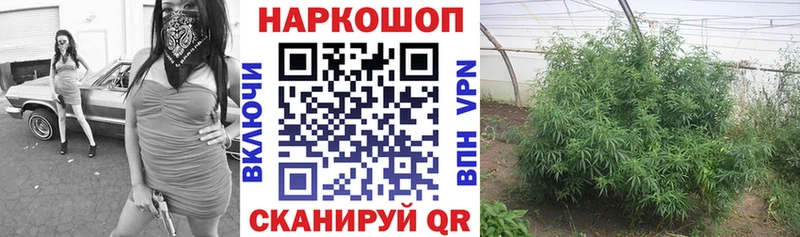 Купить наркотики цена Энем Галлюциногенные грибы  СК  Амфетамин  НБОМе  Марихуана  COCAIN  Гашиш 